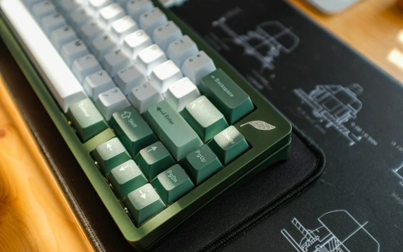 Melhores Mouses Ergonômicos para Quem Trabalha 8 Horas por Dia